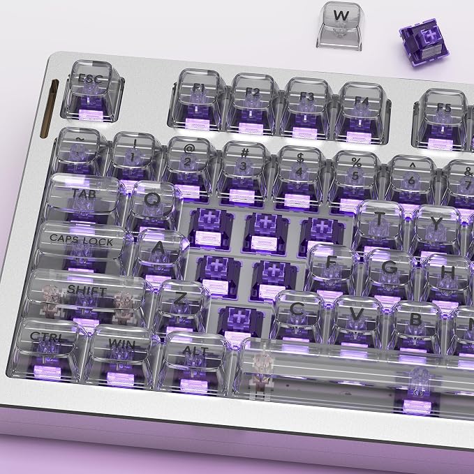 Zjmehty Outemu(Gaote) Violet Keyboard Switches with Light Diffusers,40g Tactile Pre-Lubricated Switches for MX Mechanical Keyboards(108 PCS)