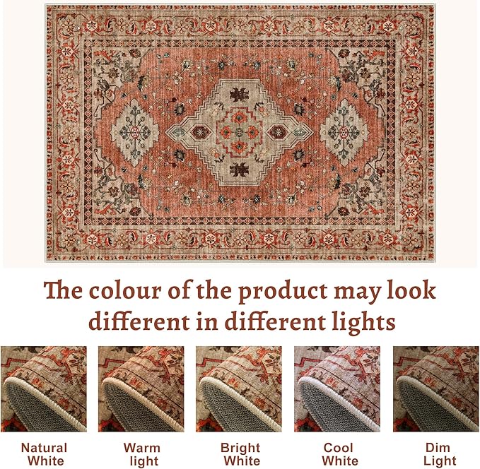 Tangsoo Boho Rug 5x7 Washable Area Rugs for Living Room, Oriental Vintage Indoor Non Slip Large Area Rug, Print Terracotta Carpet, Soft Low Pile Rug Foldable Floor Rugs for Bedroom Dining Room Dorm