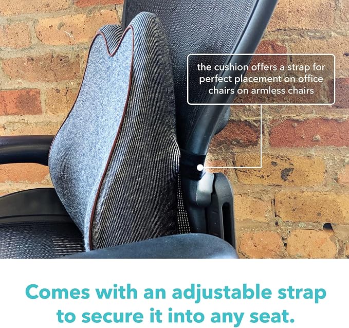 Cubii Cushii Back Support Cushion for Back and Lower Back Relief Universal Fit for Desk, Office, Kitchen Chairs, Couch Cushions with Advanced Lumbar Support