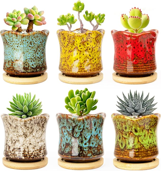 ARTKETTY Succulent Pots with Drainage Tray, Cute Ceramic Pots for Plants Set of 6