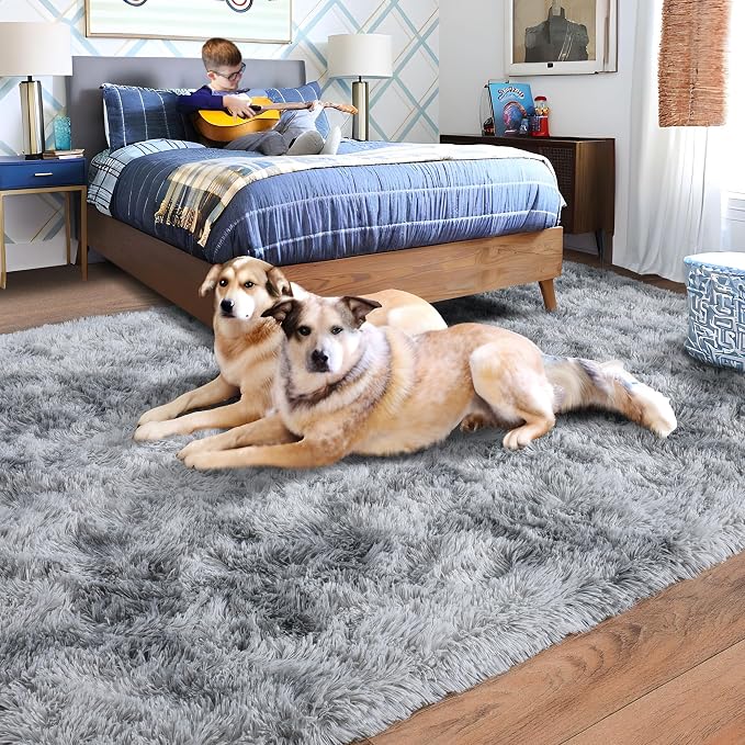 Rugs for Living Room 6x9, Soft Shaggy Modern Shag Area Rug for Bedroom, Upgrade Non-Slip Plush Fluffy Carpet for Kids Boys Girls Room Home Decor Aesthetic, Light Grey