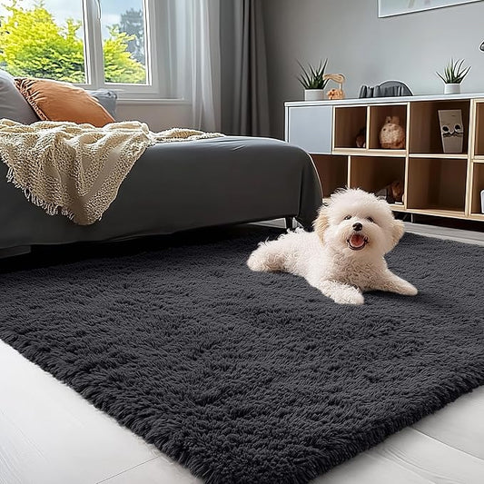 OLANLY 3x4 Machine Washable Accent Rug, Soft Fluffy Shaggy Area Rug for Bedroom, Living Room, Indoor Floor Carpet for Kids, Nursery, Home Decor, Black