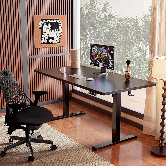 ErGear Height Adjustable Electric Standing Desk, 55 x 28 Inches Sit Stand up Desk, Memory Computer Home Office Desk, Black