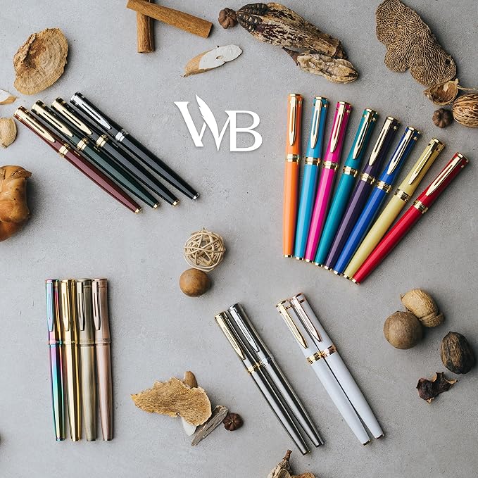 Wordsworth & Black Fountain Pen Set, Medium Nib, Includes 24 Ink Cartridges and Ink Refill Converter, Gift Case, Journaling, Calligraphy, Smooth Writing Pens [Black Chrome], Perfect for Men and Women