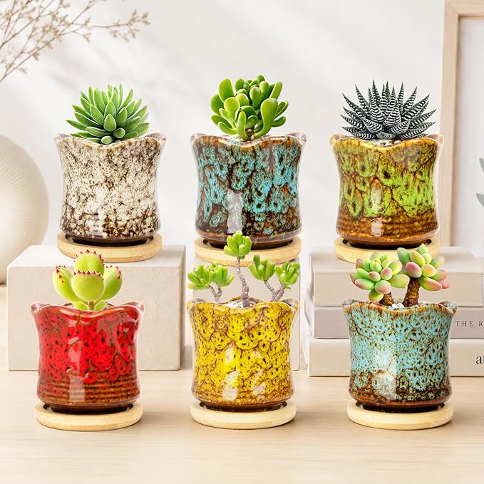 ARTKETTY Succulent Pots with Drainage Tray, Cute Ceramic Pots for Plants Set of 6
