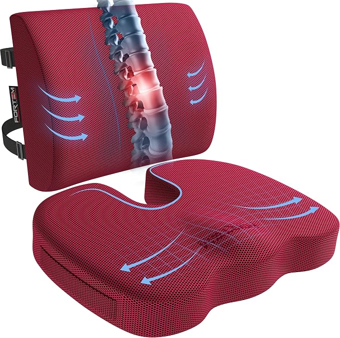 FORTEM Seat Cushion, Office Chair Cushion, Lumbar Support Pillow for Office Chair, Memory Foam Car Seat Cushions, Sciatica Coccyx Tailbone Pain Relief, Cushions for Back Support, Washable, Non Slip