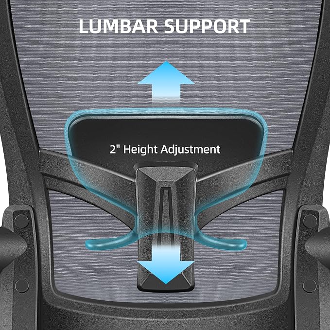 FelixKing Office Chair, Desk Chair with Adjustable Lumbar Support, Ergonomic Computer Chair with High Back and Armrest, Adjustable Height Gaming Chair Home Office Swivel Chair(Dark Gray)