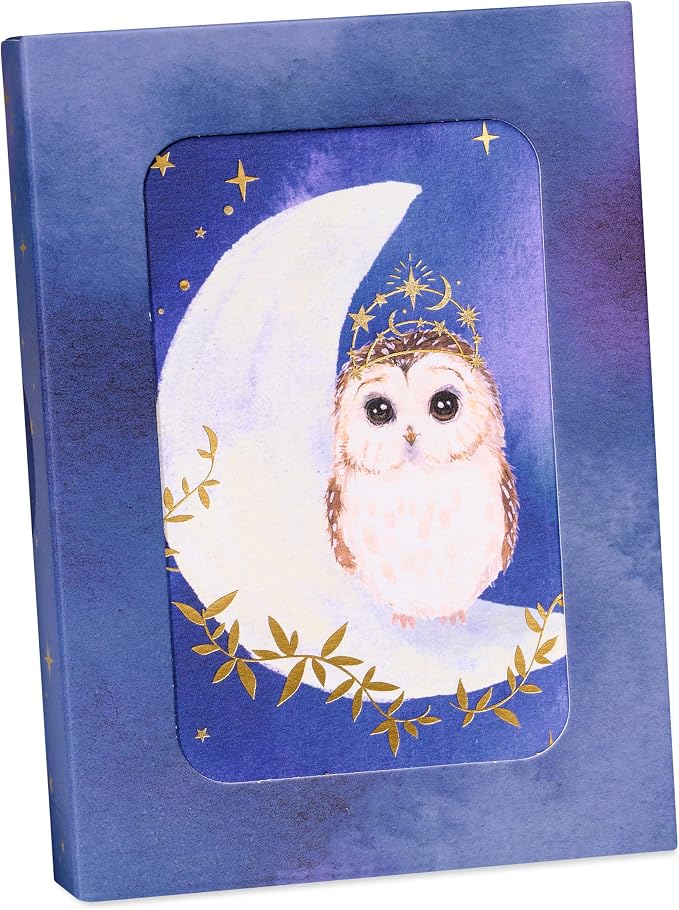 Papyrus 12-Count All Occasion Blank Stationery Notes, Celestial Owl Watercolor
