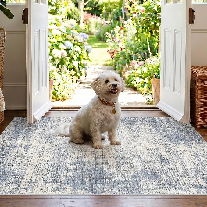 3x4 Washable Area Rug for Entryway: Modern Abstract Stain Resistant Small Rug with Non Slip Rubber Backing Durable Doormat Low Pile Thin Floor Carpet for Kitchen Bathroom Bedroom (Blue Gray,3x4)