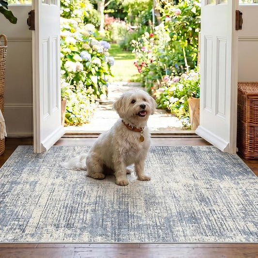 3x4 Washable Area Rug for Entryway: Modern Abstract Stain Resistant Small Rug with Non Slip Rubber Backing Durable Doormat Low Pile Thin Floor Carpet for Kitchen Bathroom Bedroom (Blue Gray,3x4)