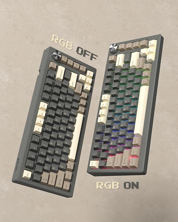 Womier Double Shot PBT Keycaps Set 138 Keys, Cherry Profile Custom Keycaps 60 65 75 100 Percent for 61/64/68/84/87/100/104/108 Retro Gaming Mechanical Keyboard, Brown Gray