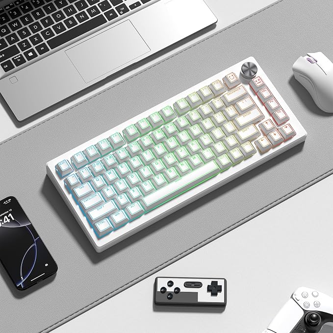 Womier PBT Keycaps Set 130 Keys, Custom White Japanese Keyboard Doubleshot Dye Sub Side Print Shine Through Keycaps 60 65 75 100 Percent, Cherry Profile (White 4)