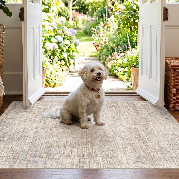 3x4 Washable Area Rug for Entryway: Modern Abstract Stain Resistant Small Rug with Non Slip Rubber Backing Durable Doormat Low Pile Thin Floor Carpet for Kitchen Bathroom (Ivory Beige Distressed,3x4)