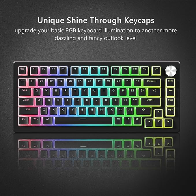 Womier Pudding Keycaps, Black PBT Keycaps 60 65 75 100 Percent 130 Keys, Shine Through Key Cap, OEM Profile for MX-stem Switches Keyboard Caps-Black