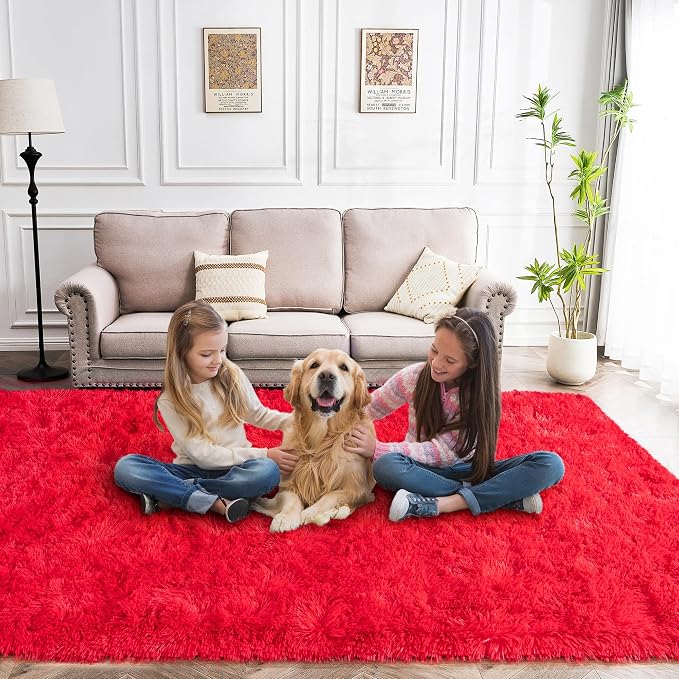 Awaytail Area Rug 6x9 for Living Room Anti Slip - Fluffy Rug for Bedroom Washable - 6 by 9 Carpet Fuzzy Rugs Indoor Red