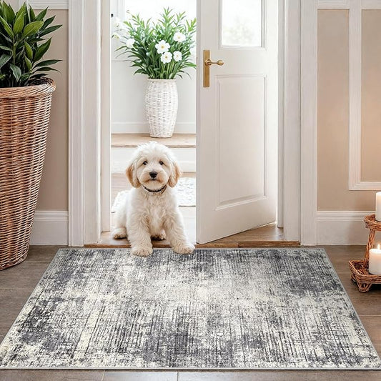 Washable Entryway 2x3 Area Rug: Small Abstract Kitchen Rugs for Indoor Bathroom Entrance Non Slip Door Mat with Rubber Backing Ultra Thin Soft Carpet for Bedroom Pet Feeding Area (Gray Beige,2x3)