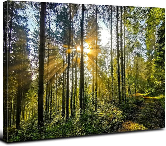 Sunrise Forest Canvas Wall Art Nature Mountain Wall Decor for Living Room Sunset Tree Trails Scenery Painting Photo 24x36”, Natural Woods Mountains Landscape Poster Artwork Home Office Decorations