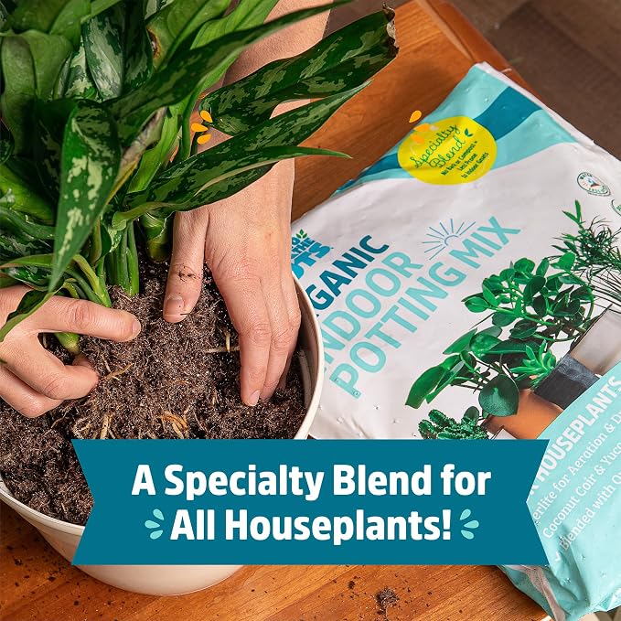 Back to the Roots 100% Organic Indoor Potting Mix (6 Quart), Promotes Healthy Houseplant Growth, Made in The USA