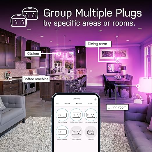 Feit Electric Smart Plug, Works with Alexa and Google Home, No hub Required, 2.4 GHz Network Only, Remote Control from Anywhere 15 Amp, Indoor Outlet for Home Appliances (Smart Plug + USB Ports, 2)