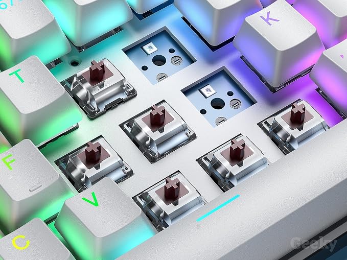 Geeky GK65 65% | Hot Swappable Mechanical Gaming Keyboard | 68 Keys Multi Color RGB LED Backlit for PC/Mac Gamer | ANSI US American Layout (White, Mechanical Brown)