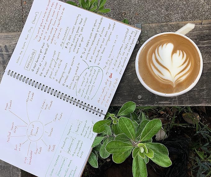 Unruled Classic Blank Spiral Notebook, 60lb Premium Plain Paper, 70 Sheets, Recycled and Sustainable, 10.5" x 8", 3 Pack, Assorted Foil/Wire